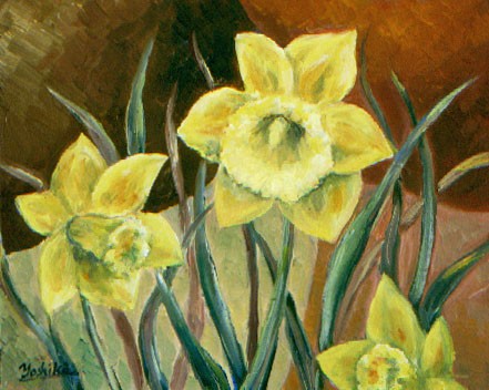 Daffodils