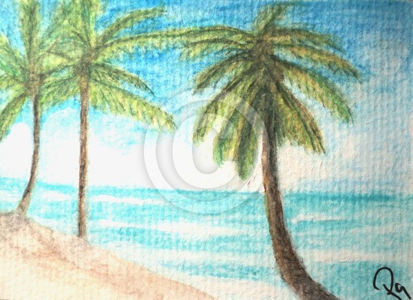 Hawaiian Beach