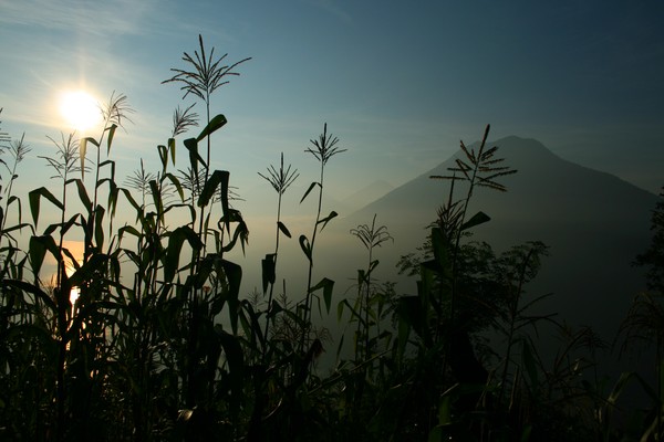Guatemalan Dawn