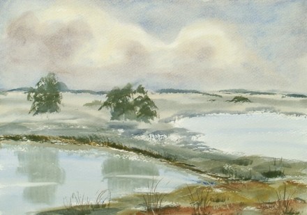 open landscape with ponds 625