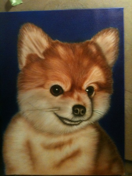 dog portrait 3