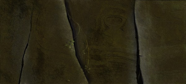 texture study