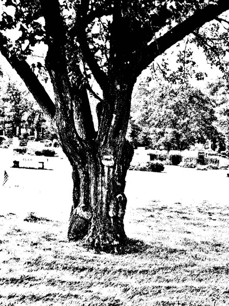 Cemetary Spirits-5