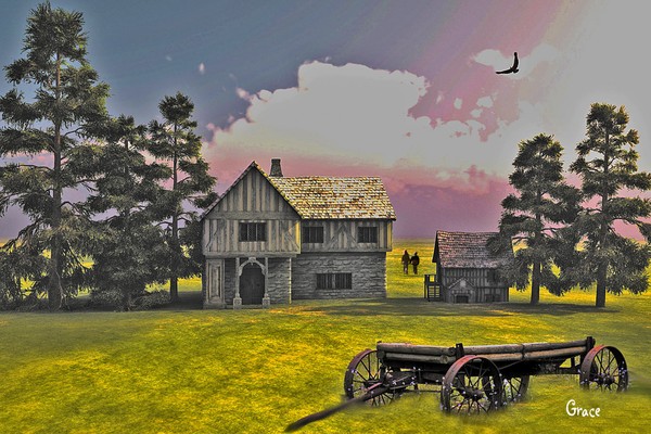 In the Country