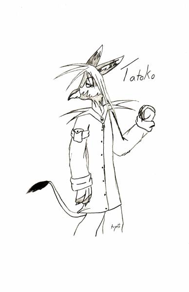 Tatoko, The New