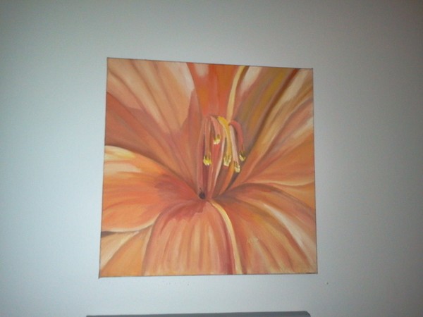 Lily study in color