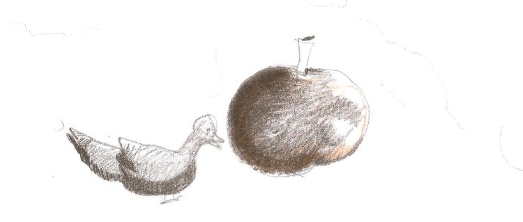 Sketches-Collage-II