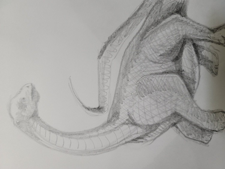 Plesiosaurs