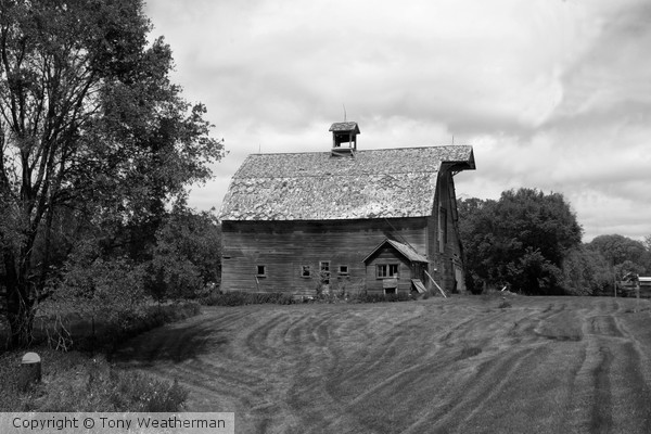 Barn B&W ne1255