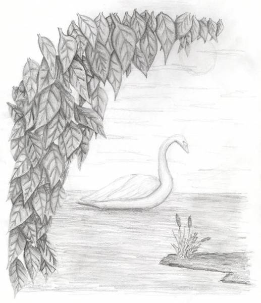 Through the Clearing