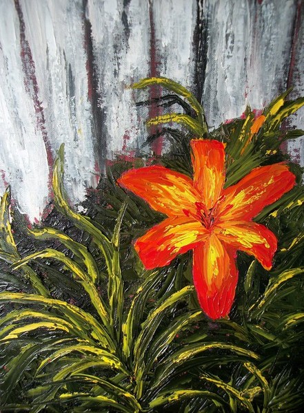Day Lily