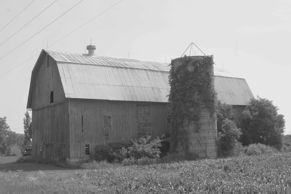 Old barn