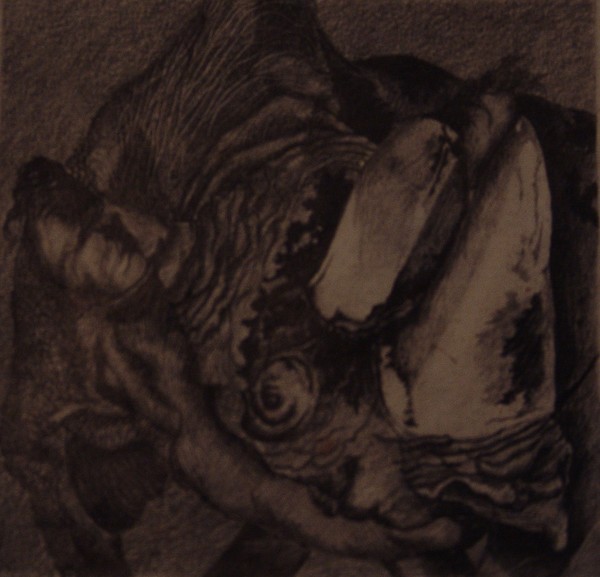 The Rhino 