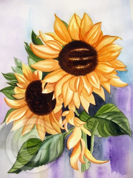 Smiling Sunflower