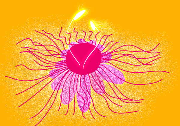 Passionate love