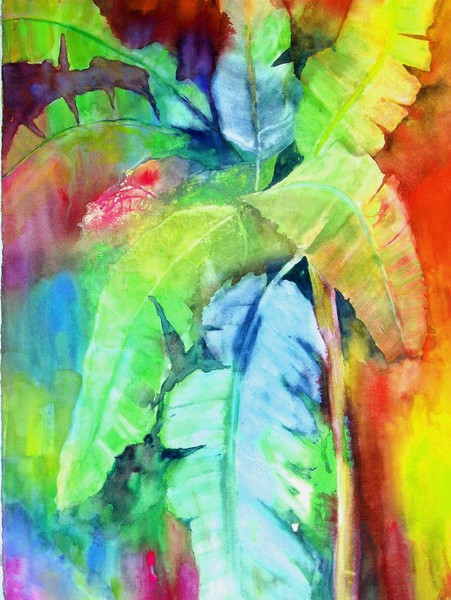 Banana Tree