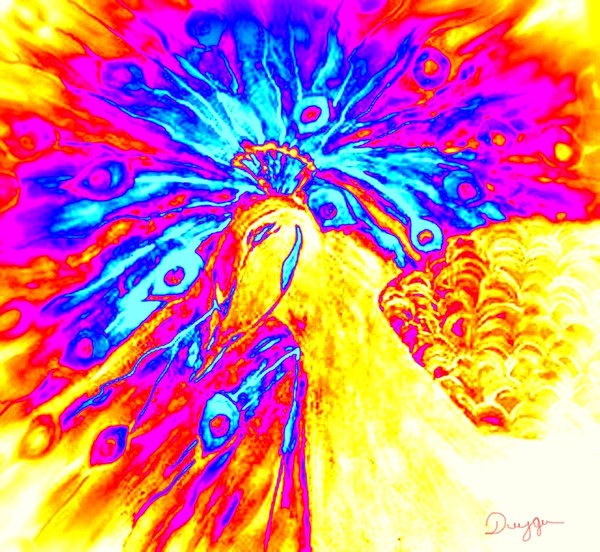 Peacock