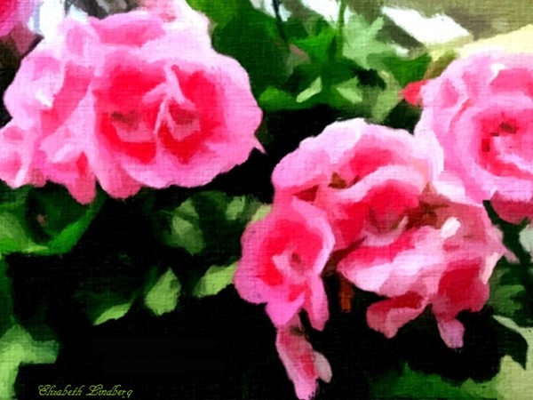 Favorite shade of pink