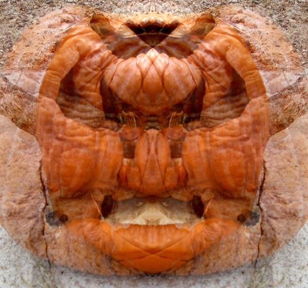 the pumkin 12 R