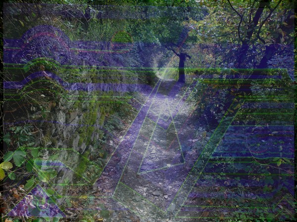 Art meets Nature 13