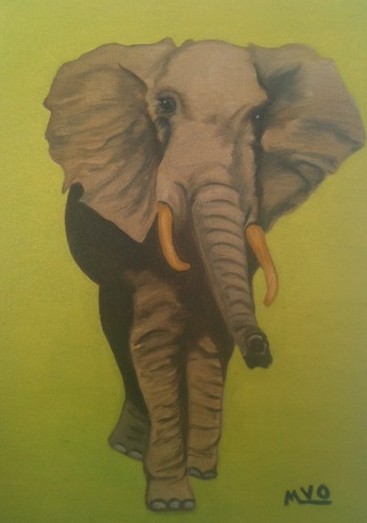 elephant