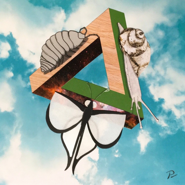 Penrose Insects