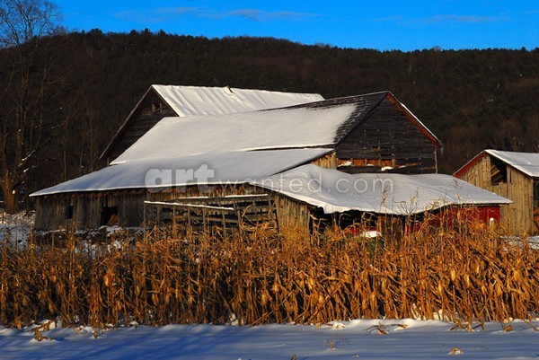 Washington County Barn I