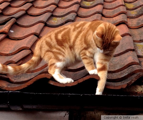 wonder what he's got up there....