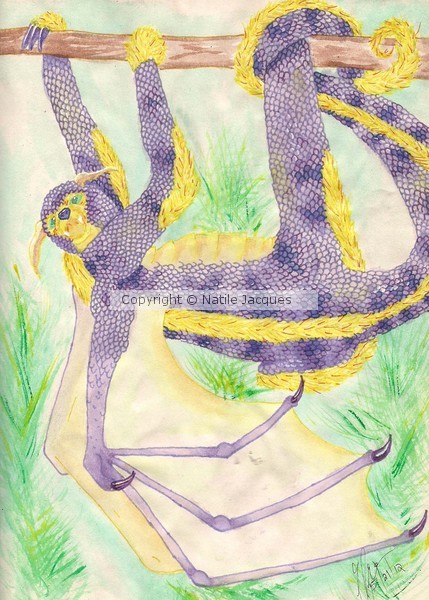 Sloth Dragon