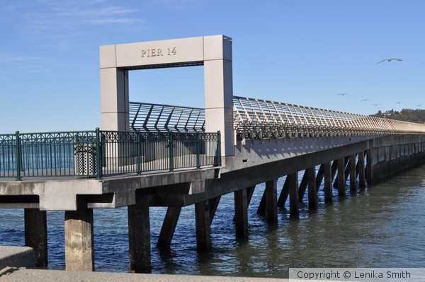 Pier 14