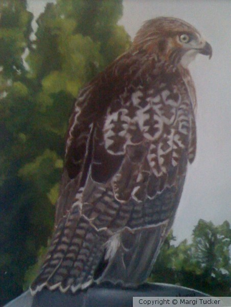Fearless-Sold