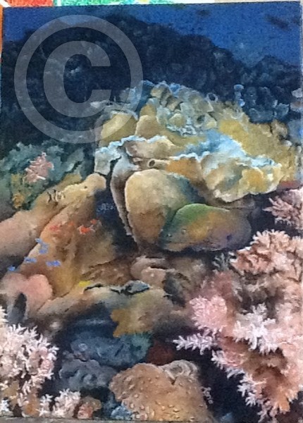 Under the Sea