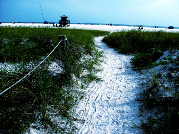 Trail To The Sea