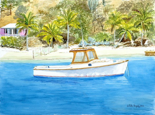 Roadrunner in Paradis