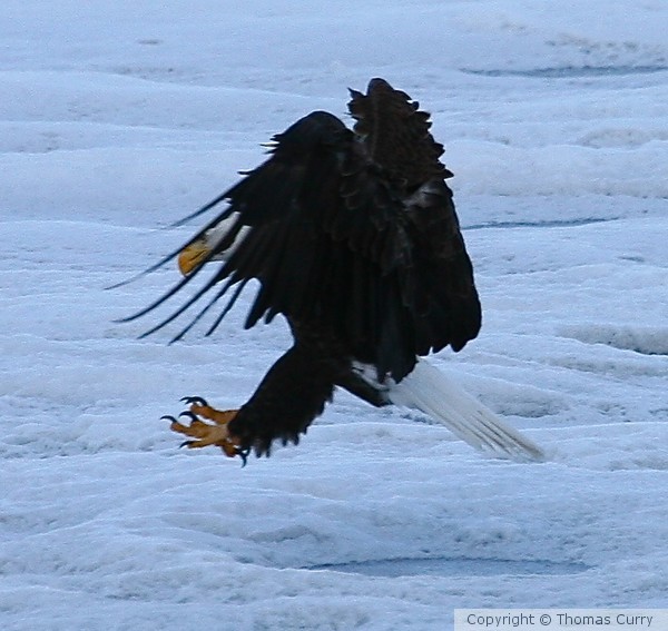 Ice landing