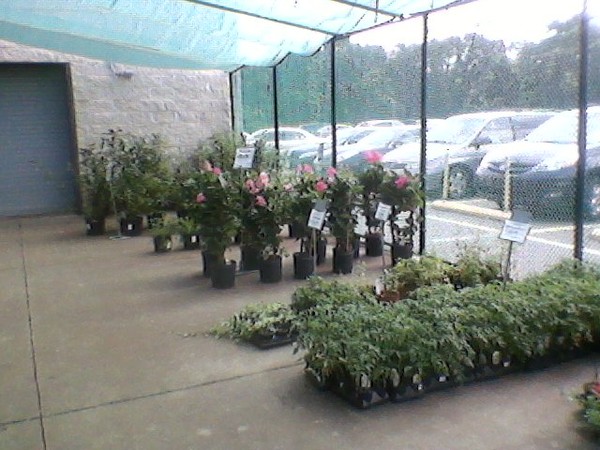 Greenhouse Nest