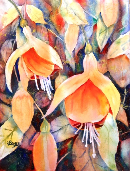 FUSCHIAS