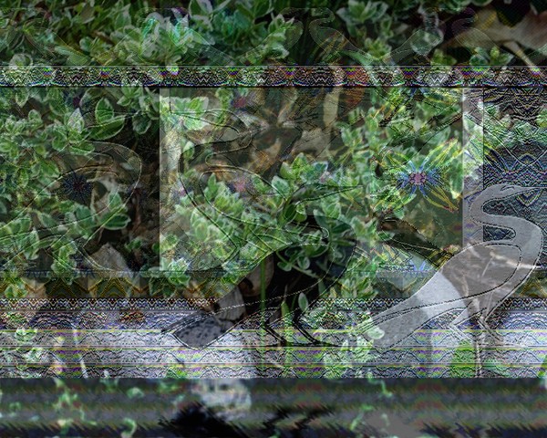 NILE FOWL