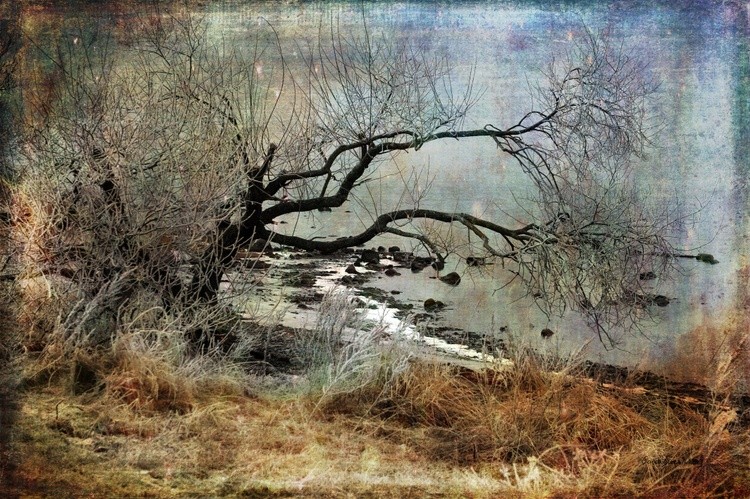 Silent Beach