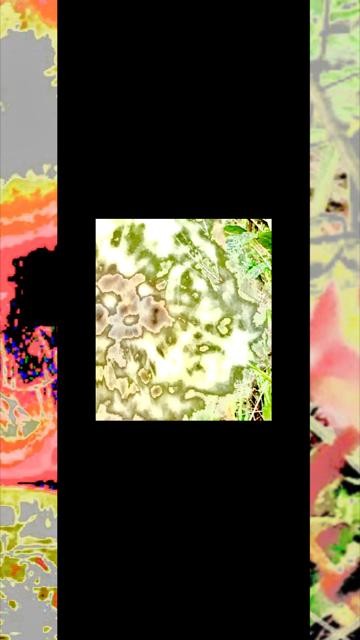 thumbnail-825