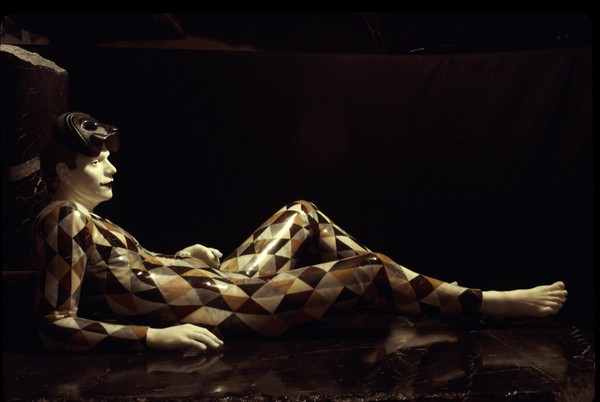 Harlequin