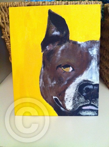 Pit Bull Acrylic Painting