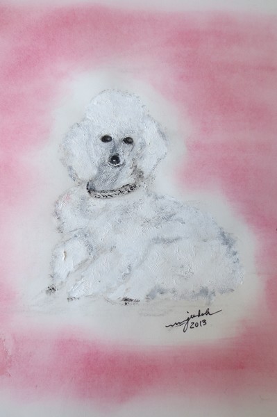 Inco  toy poodle
