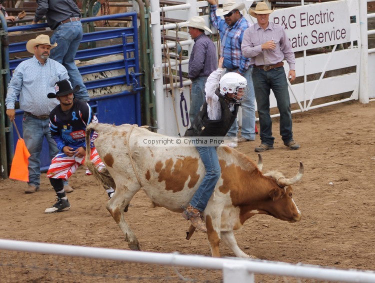 Ride em Cowboy