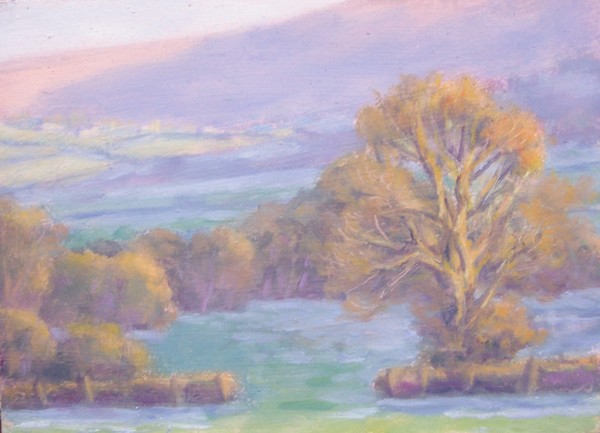 late light and frost