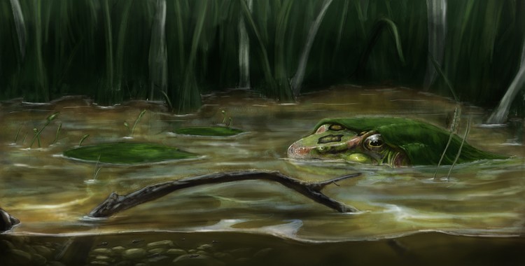 Calm Water