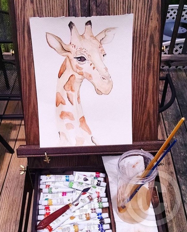 Giraffe