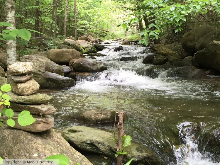 Graves Mill stream