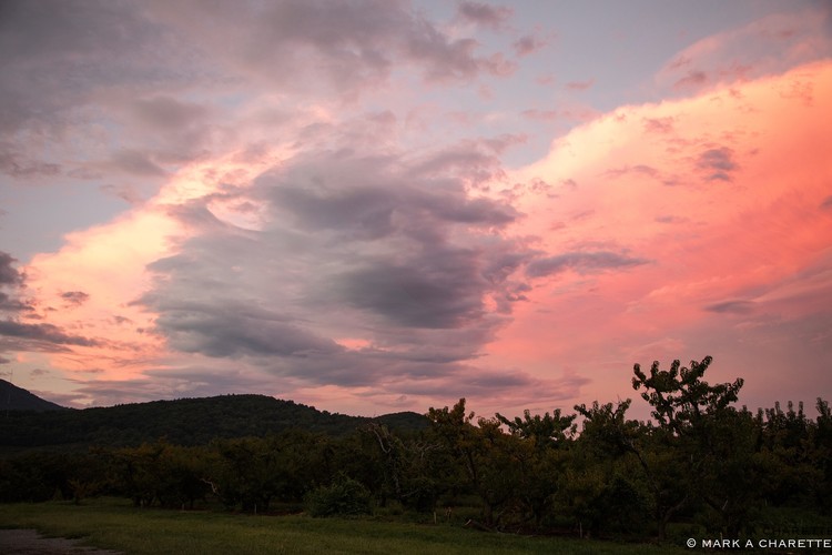 Peach Sky