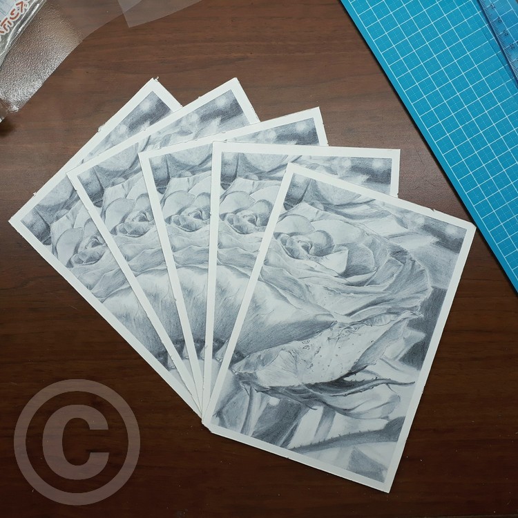 Rose Prints - for sale soon